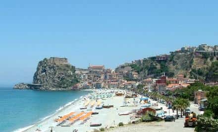 Scilla Scilla