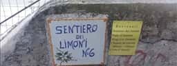 The path of lemons: from Maiori to Minori, passing through the village of Torre
