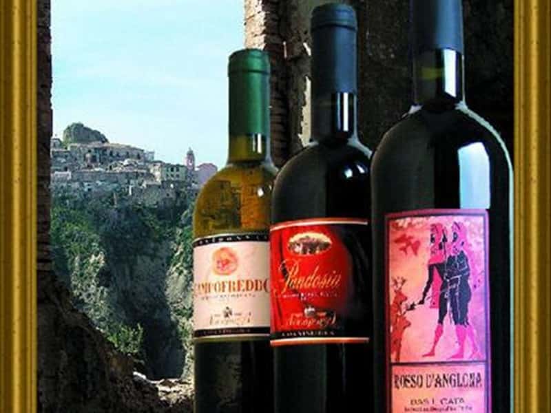 Анакопия вино. Диоскурия вино Абхазия. Шардоне абхазское вино. Вино традиции Абхазии Шардоне Сухумское. Вино Базиликата.