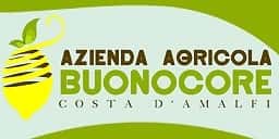 zienda Agricola Buonocore Azienda Agricola in Maiori Costiera Amalfitana Campania - Locali d&#39;Autore