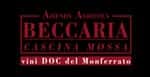 Beccaria Wines Piedmont ine Cellar in - Locali d&#39;Autore