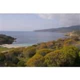 Area marina protetta nell&#39;isola dell&#39;Asinara - Locali d&#39;Autore
