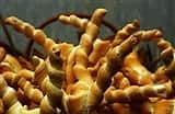 errara: bread and eels, sinuous shapes for old flavors - Locali d&#39;Autore