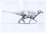 l Sito Paleontologico del pi&#249; grande e completo Dinosauro Italiano - Locali d&#39;Autore