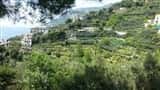 he path of lemons: from Maiori to Minori, passing through the village of Torre - Locali d&#39;Autore